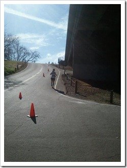 Jed Smith 50K - down the hill