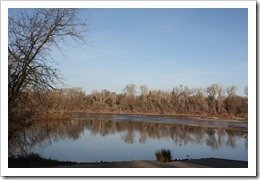 Race Scenery - Jed Smith 50K