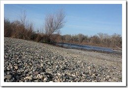 Race Scenery - Jed Smith 50K