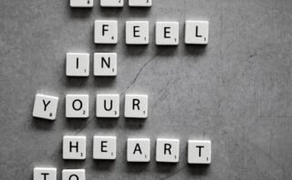 Baked Zucchini Chips and Fries