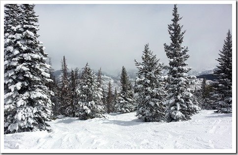 Powder Day at Vail