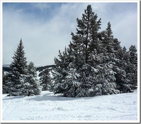 Powder Day and Closing Day