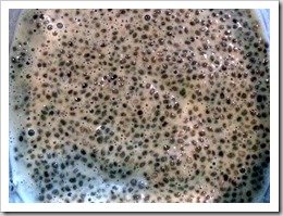 Cheezy Chia Pudding Snack