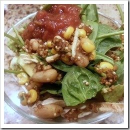 Quinoa Taco Salad