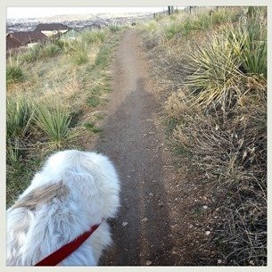 Getting more steps on a walk