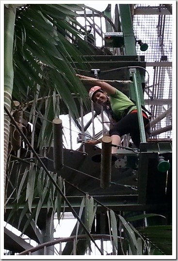 High Ropes at Wildlife Dome
