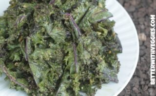 LiveFit Trainer Week 9 + Color Run Discount!