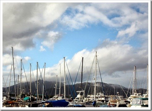 Marina in Cairns Australia