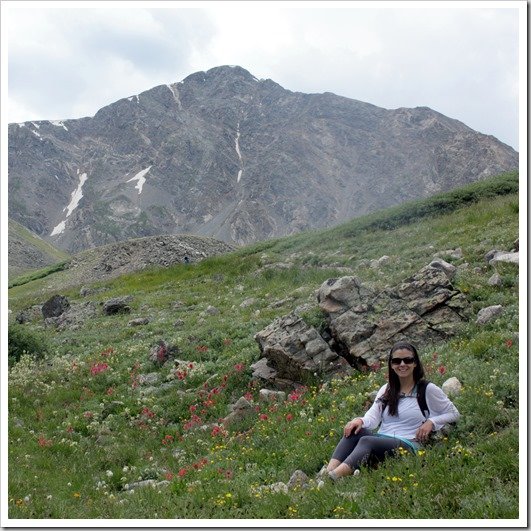 Field of Wildflowers on Grays Peak Hike