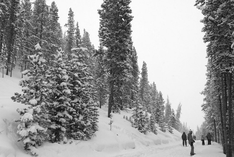 Catwalks are not the friend of Snowboarders