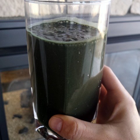 Vega Protein Smoothie Vega Protein Smoothie