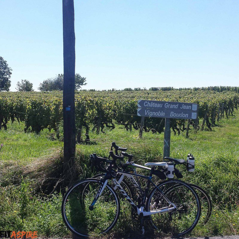 Bordeaux Vineyards // FITaspire.com