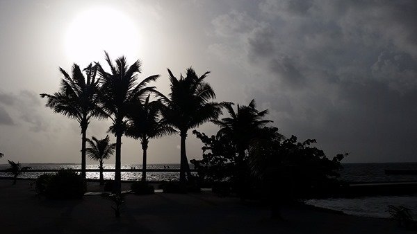 Scuba Diving in Belize // Sunrise Scuba Diving in Belize // Sunrise
