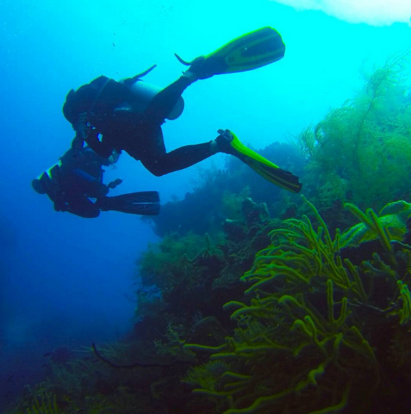 Scuba Diving in Belize // Turneffe Resort Scuba Diving in Belize // Turneffe Resort