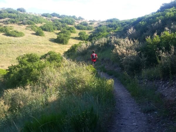 Trail running improves strength, balance, + prevents overuse injuries. Follow these 10 trail running tips to start getting those benefits and explore a different side of running!