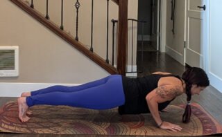 chaturanga dandasana yoga pose