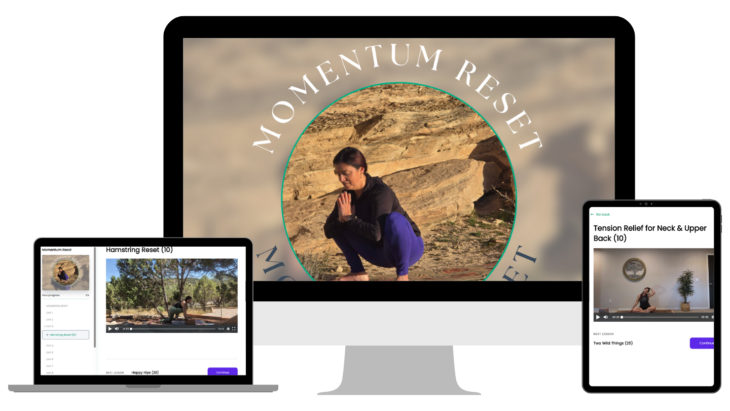 Momentum Reset product mockups