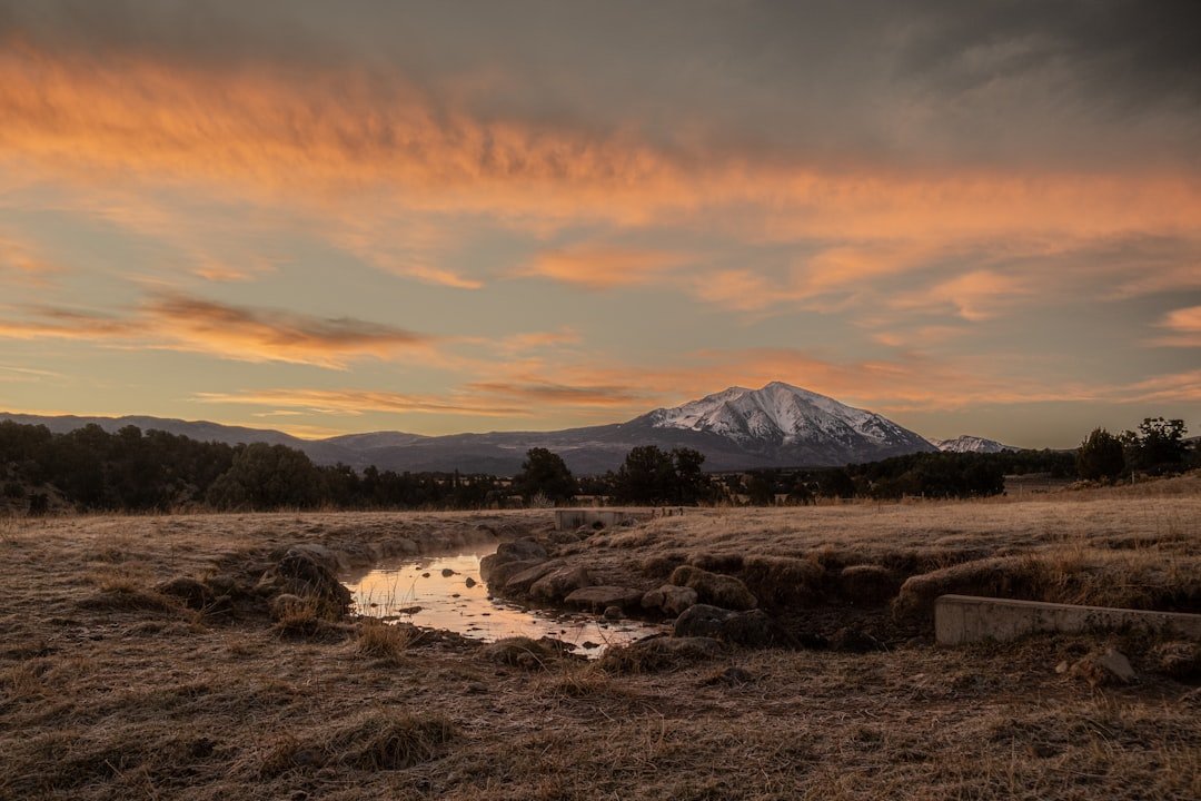 a field with a puddle of water in the middle of it